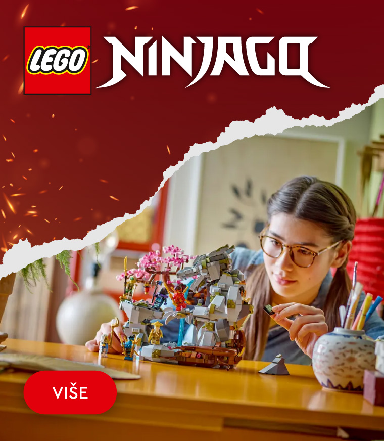 CG-202503-10234-Lego Ninjago_MOBILE 760x872.jpg